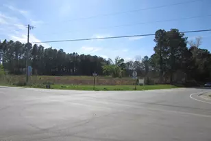 8 78 Acres Riley Hill Rd, Wendell, NC 27591 - Photo 1