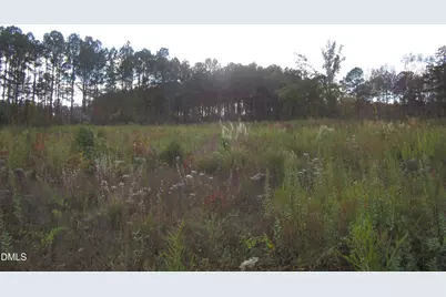 8.78 Acres Riley Hill Rd., Wendell, NC 27591 - Photo 4