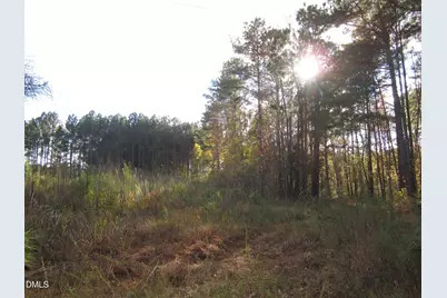 8.78 Acres Riley Hill Rd., Wendell, NC 27591 - Photo 6