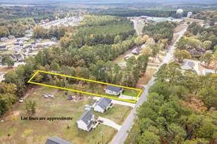 1395 Summerville Mamers Rd, Lillington, NC 27546 - Photo 22