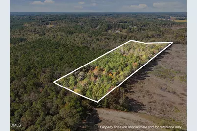 0 Ernest Brown Road, Lillington, NC 27546 - Photo 1