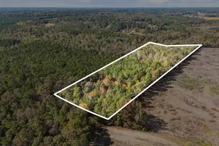0 Ernest Brown Rd, Lillington, NC 27546 - Photo 1