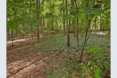 1428 Gray Bluff Trail, Chapel Hill, NC 27517 - Photo 98