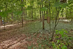 1428 Gray Bluff Trail, Chapel Hill, NC 27517 - Photo 98