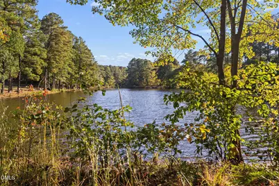 9916 Bonsal Crossing Road, New Hill, NC 27562 - Photo 8