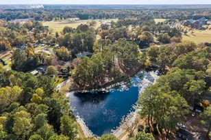 162 Powell Ave, Lillington, NC 27546 - Photo 4