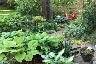 2900 Sylvania Dr, Raleigh, NC 27607 - Photo 44