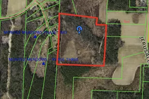 0 Junior Rd, Kenly, NC 27542 - Photo 1