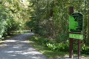 138 N White St, Wake Forest, NC 27587 - Photo 30