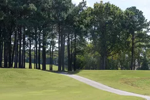 103 Ailey Brk Wy, Wake Forest, NC 27587 - Photo 34