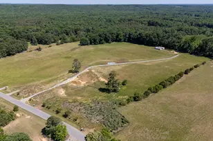 367 Gilliland Rd, Siler City, NC 27344 - Photo 1