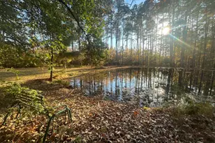 109 Dogwood Cir, Butner, NC 27509 - Photo 52