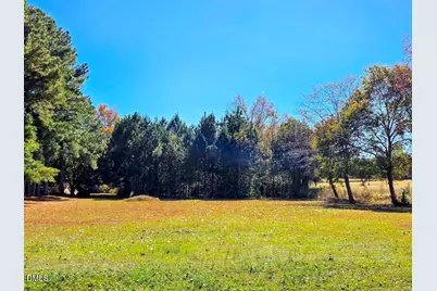 0 US 421 N, Broadway, NC 27505 - Photo 2