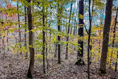 689 Lockamy Road, Timberlake, NC 27583 - Photo 32