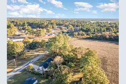 338 Potts Road, Brogden, NC 28333 - Photo 38