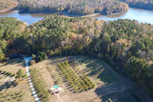 502 John Jones Rd, Bahama, NC 27503 - Photo 14