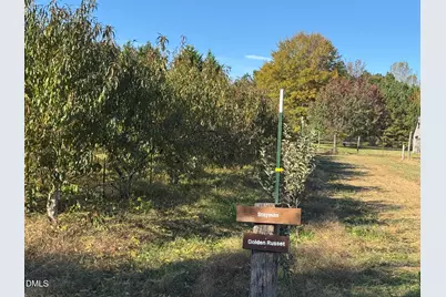 502 John Jones Road, Bahama, NC 27503 - Photo 26