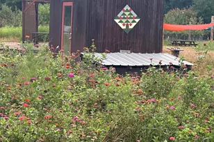 502 John Jones Rd, Bahama, NC 27503 - Photo 16