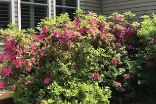 4064 Harnett, Pittsboro, NC 27312 - Photo 36