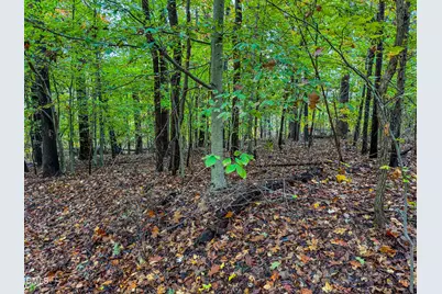 143 Lankford Street, Roxboro, NC 27573 - Photo 6