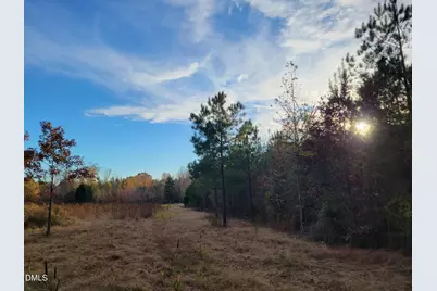 2081 Peed Road, Rougemont, NC 27572 - Photo 14