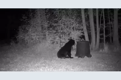 2081 Peed Road, Rougemont, NC 27572 - Photo 42