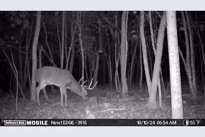 2081 Peed Road, Rougemont, NC 27572 - Photo 6