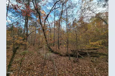 2081 Peed Road, Rougemont, NC 27572 - Photo 22