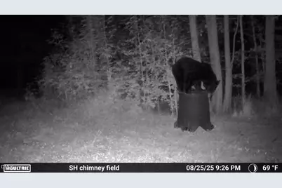 2081 Peed Road, Rougemont, NC 27572 - Photo 44