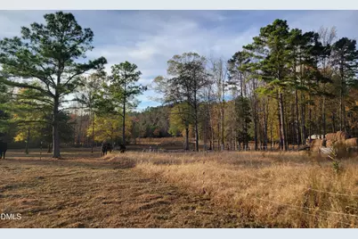 2081 Peed Road, Rougemont, NC 27572 - Photo 6