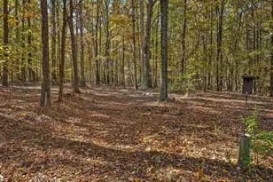 1838 Alex Cockman Rd, Pittsboro, NC 27312 - Photo 48