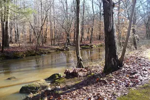 101 Wild Oak Ln, Carrboro, NC 27510 - Photo 52
