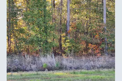 0 Cedar Grove Church Road, Saint Pauls, NC 28384 - Photo 6