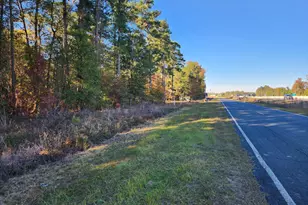 0 Cedar Grove Church Rd, Saint Pauls, NC 28384 - Photo 1