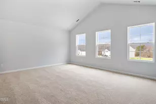 133 Alice Trce Pl, Angier, NC 27501 - Photo 16