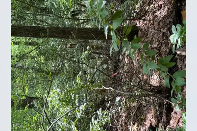 0 Redgate Road, Pittsboro, NC 27312 - Photo 6