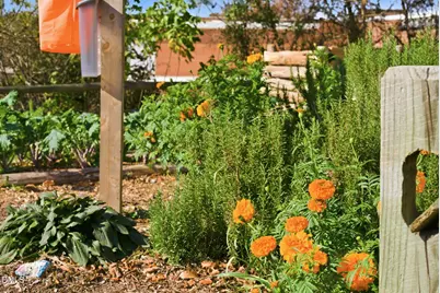 1860 Sissipahaw Way #D-202, Saxapahaw, NC 27340 - Photo 88