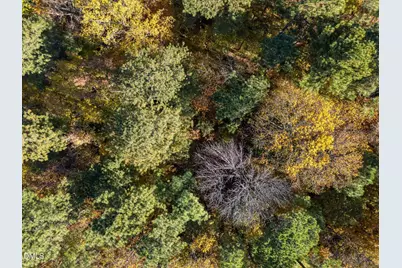 11408 Claybank Place, Raleigh, NC 27613 - Photo 8