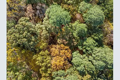 11125 Lakeshore Drive, Raleigh, NC 27613 - Photo 8