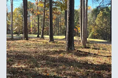558 Chapel Ridge Drive, Pittsboro, NC 27312 - Photo 8