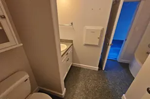 100 Clark Lake Rd, Durham, NC 27707 - Photo 32