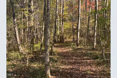 Lot 5 Sepelo Way, Efland, NC 27243 - Photo 8