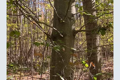 Lot 5 Sepelo Way, Efland, NC 27243 - Photo 14