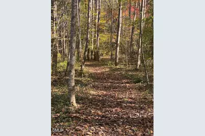 Lot 5 Sepelo Way, Efland, NC 27243 - Photo 6