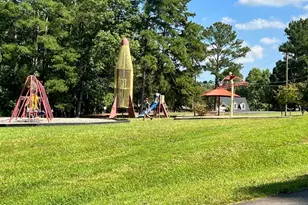 212 Rawhide Dr, Louisburg, NC 27549 - Photo 50