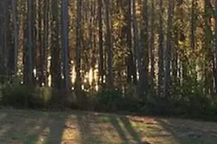 675 Anderson Creek Rd, Henderson, NC 27537 - Photo 2