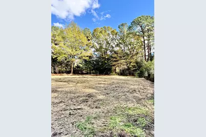 423 S Harrison Avenue, Cary, NC 27511 - Photo 10