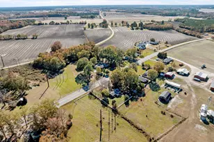 212 W Church St, Conetoe, NC 27819 - Photo 14