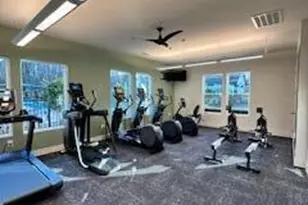 328 Aspen Ave, Pittsboro, NC 27312 - Photo 54