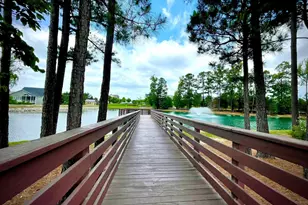 2419 Whitewing Ln, Wendell, NC 27591 - Photo 14